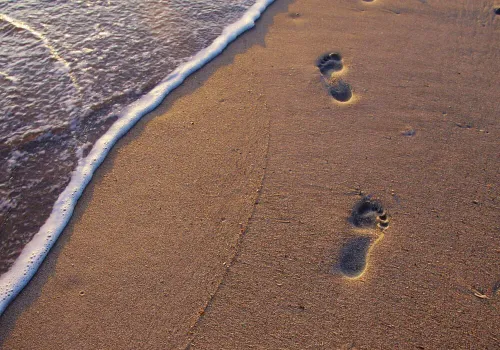 Default article image