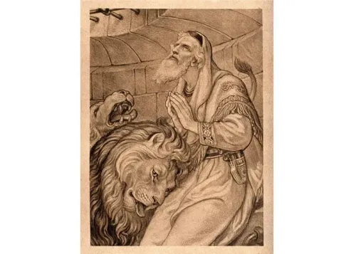 Default article image