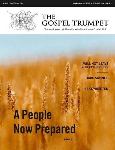 Default article image