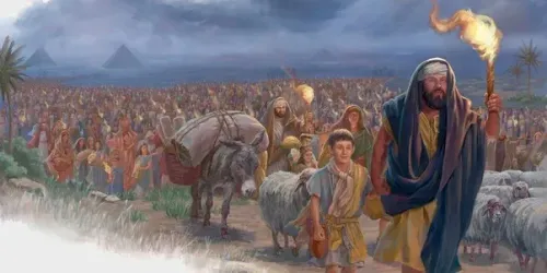 Default article image