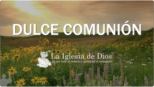 Default article image