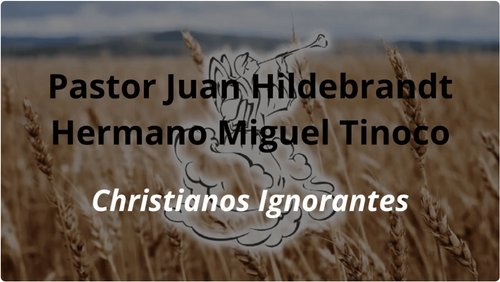 Default article image