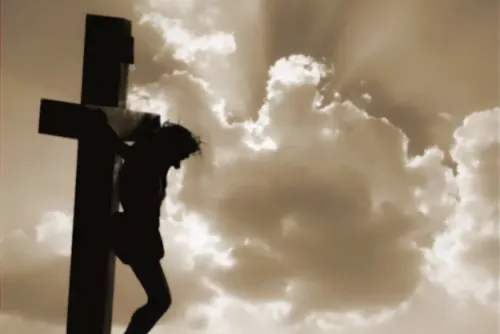 Default article image