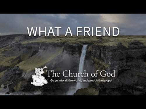 Default article image