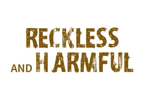 Default article image