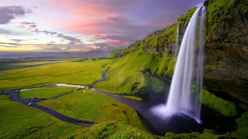 Default article image