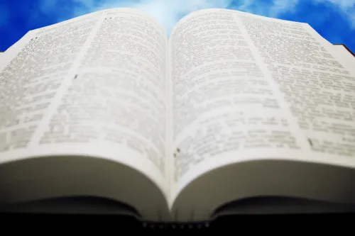 Default article image