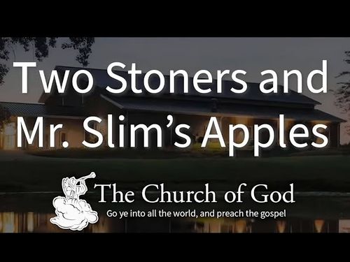 Default article image