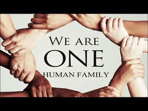 Default article image